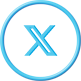 公式X